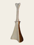 Levensdrager IV - 2008